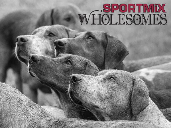alimento para criadores de perros
