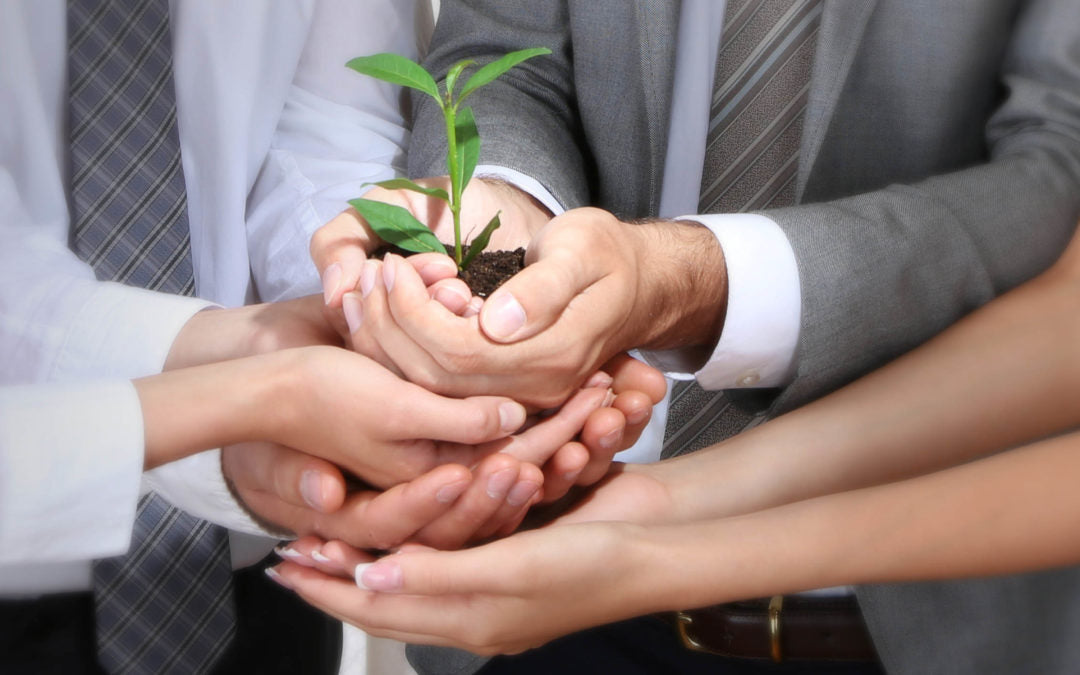 ¿Por qué definir los valores de mi empresa?