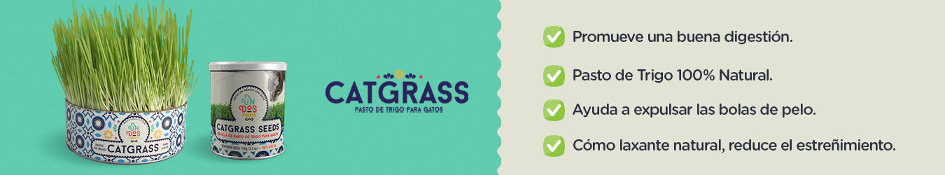 Cat Grass para Gatos - Venta de cat grass al mayoreo