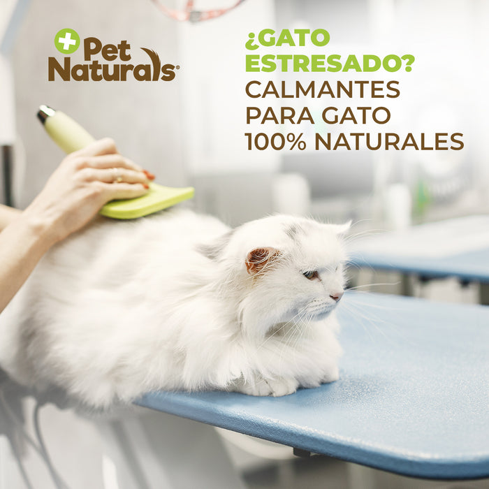 Calmantes para Gatos