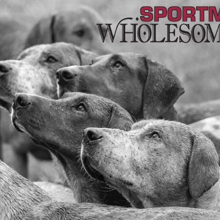 alimento para criadores de perros