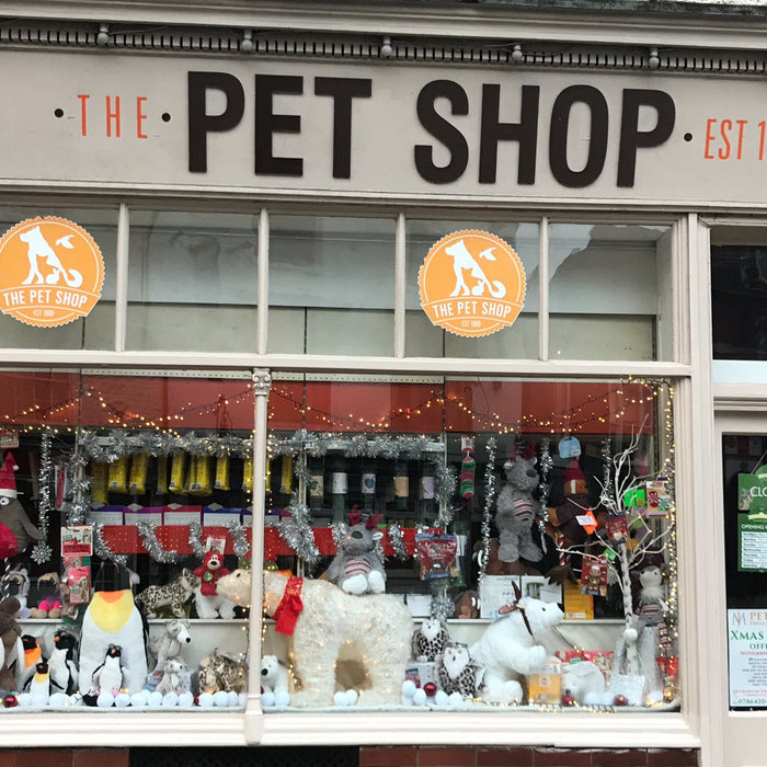 ¿Cómo aumentar las ventas de tu Pet Shop durante el COVID19?