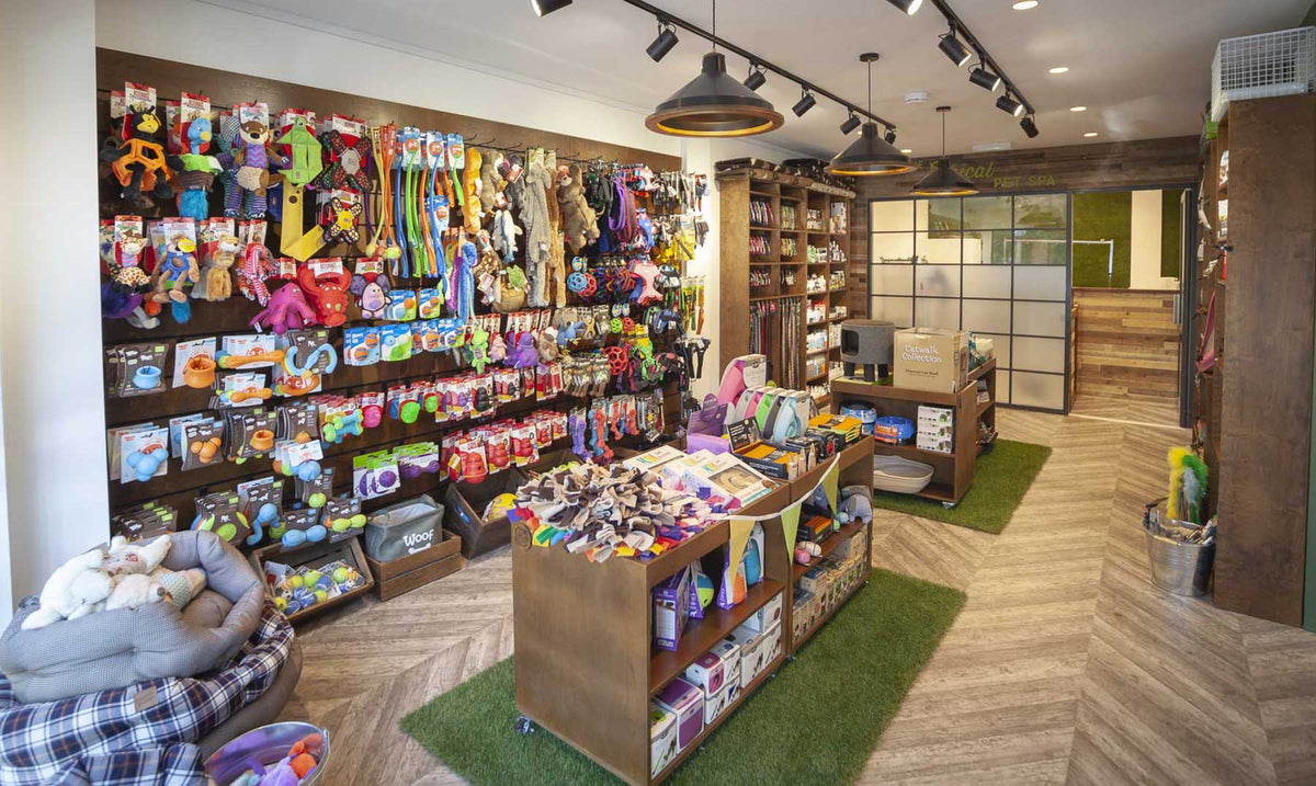 ¡Consejos para implementar en tu pet shop!— Pet Markt Mexico