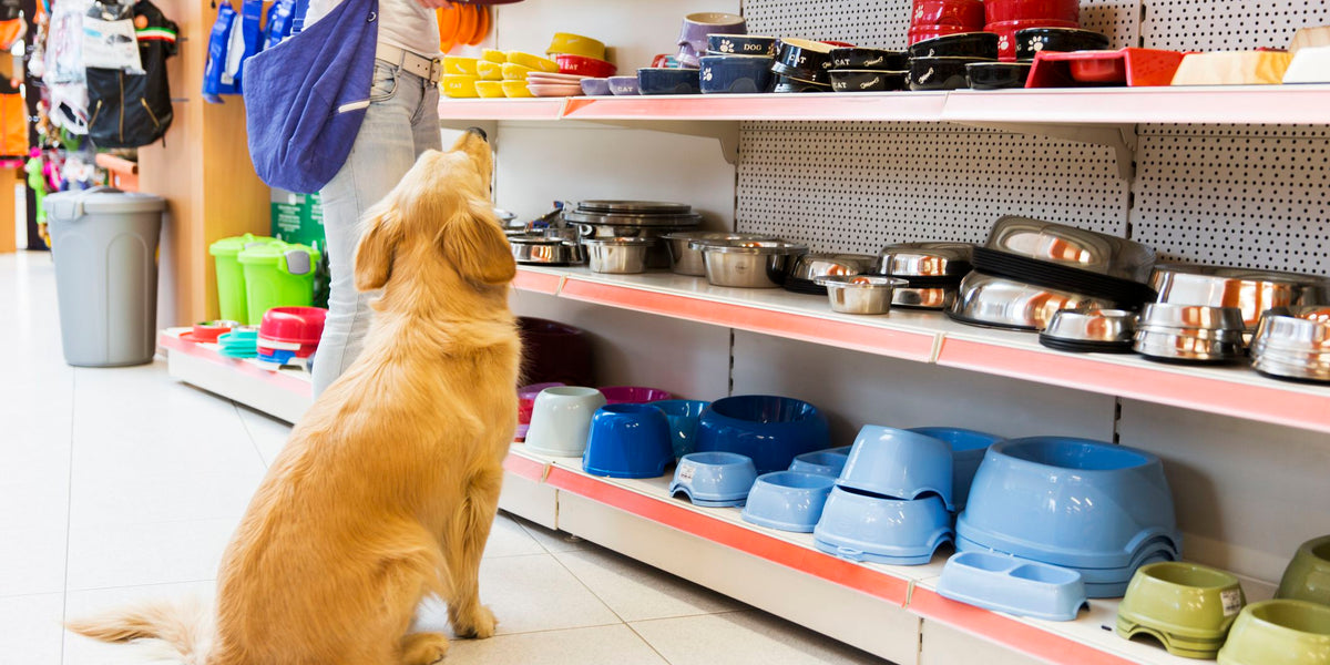 Cómo aumentar las ventas de tu Pet Shop durante el COVID19?— Pet Markt  Mexico