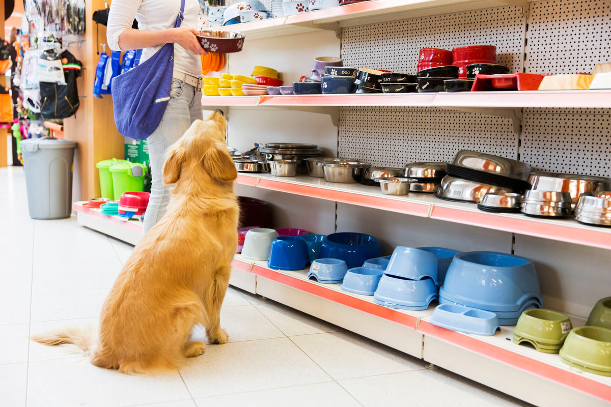 Ventajas de tener una Pet Shop!— Pet Markt Mexico