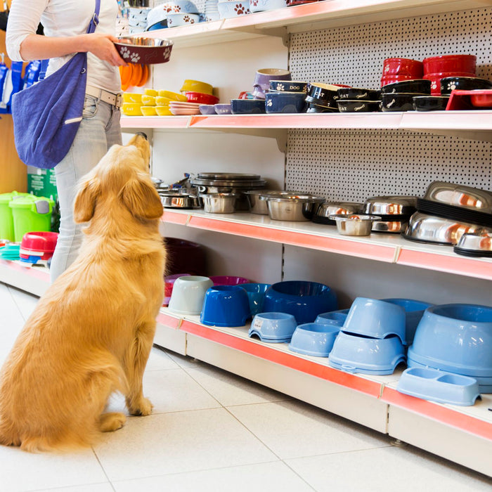 ¡Ventajas de tener una Pet Shop!