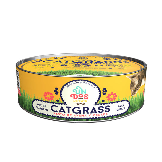 Cat Grass Mix Avena y Cebada, Pasto para Gato