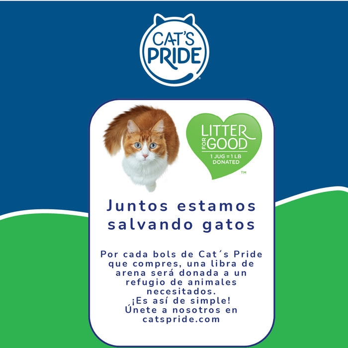 Cat's Pride Sceted Total Odor Control Arena para gatos Aglutinante, Bloquea Olores al instante 15lb