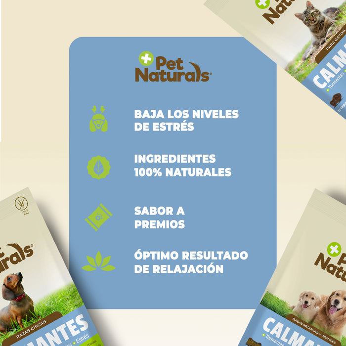 Calmantes para Perros Chicos