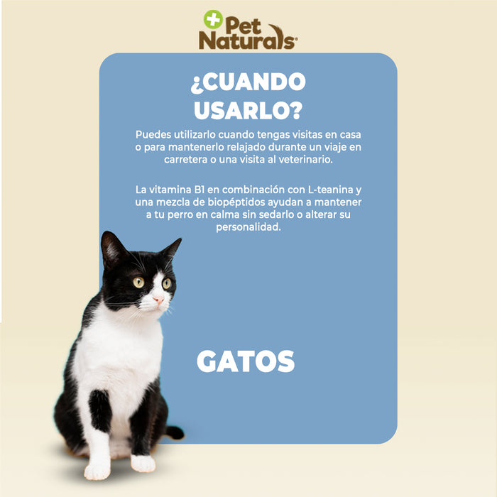 Calmantes para Gatos