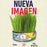 Cat Grass Mix Avena y Cebada, Pasto para Gato