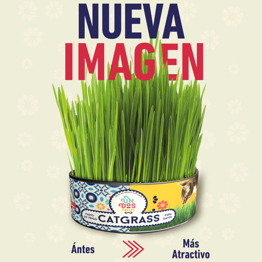Cat Grass Mix Avena y Cebada, Pasto para Gato