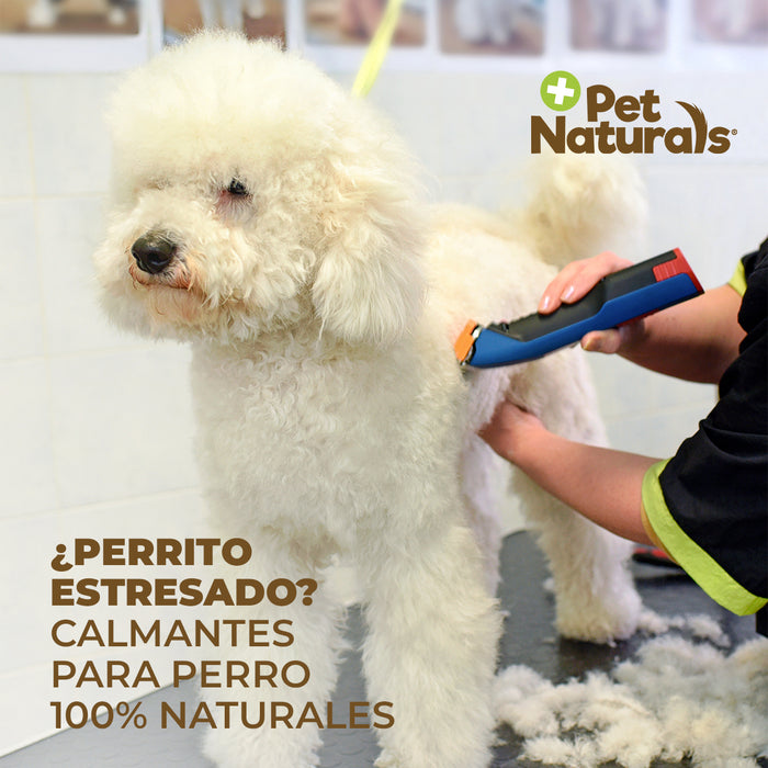 Calmantes para Perros Chicos