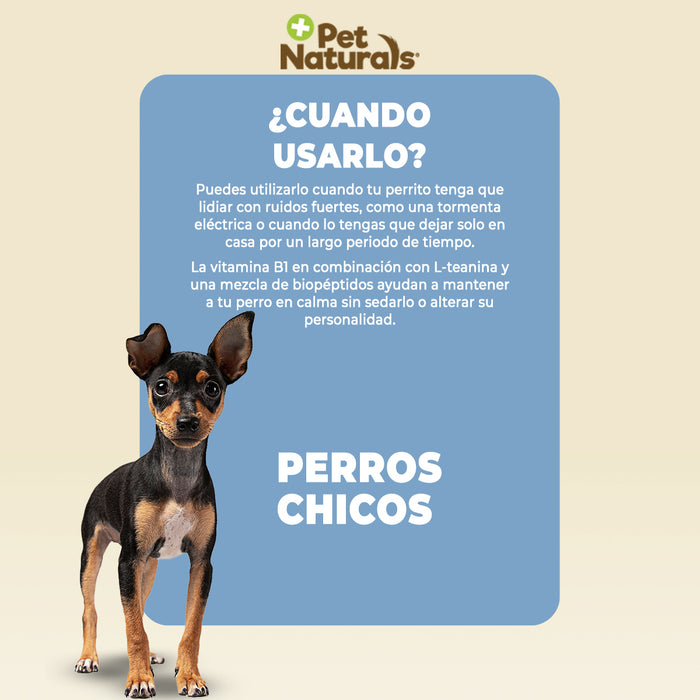 Calmantes para Perros Chicos
