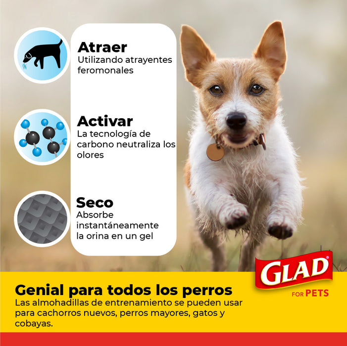 Tapete Entrenador para Perro Glad 5 Capas a Prueba de Fuga