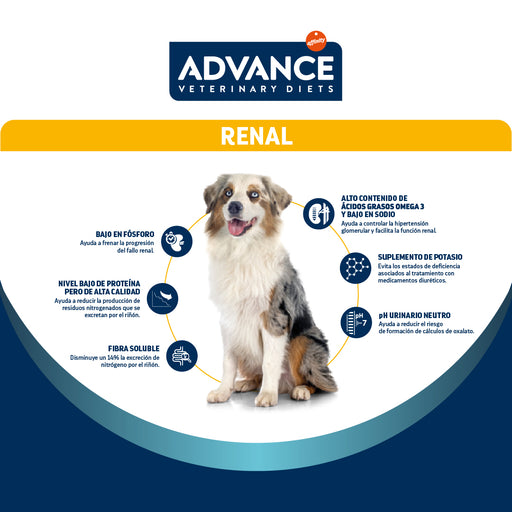 Advance Renal Perro  12kg