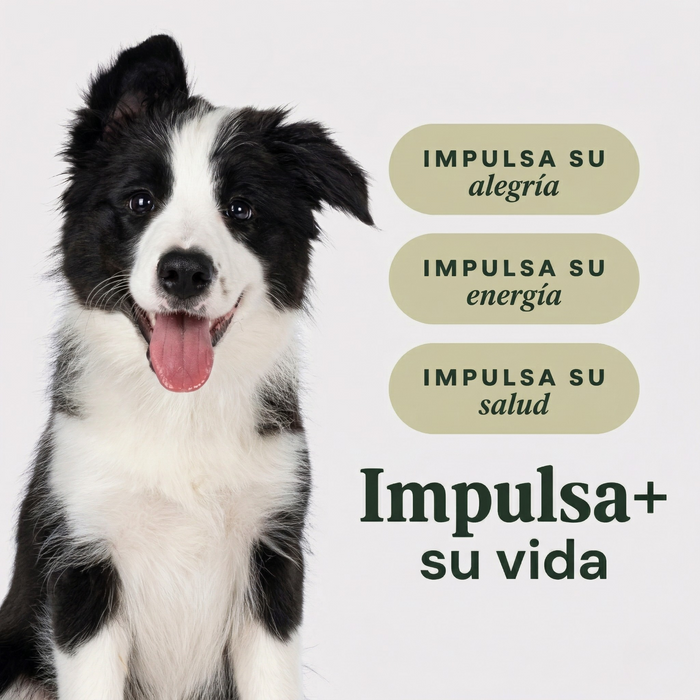 Instinct Raw Boost de Pollo con Granos y Arroz Integral para Cachorros