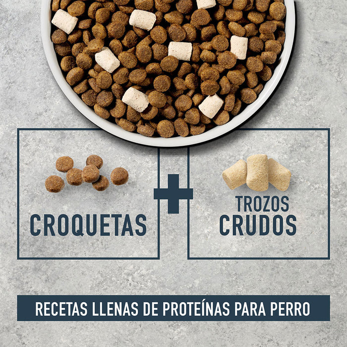 Instinct Raw Boost de Salmón con Granos y Avena para Perros