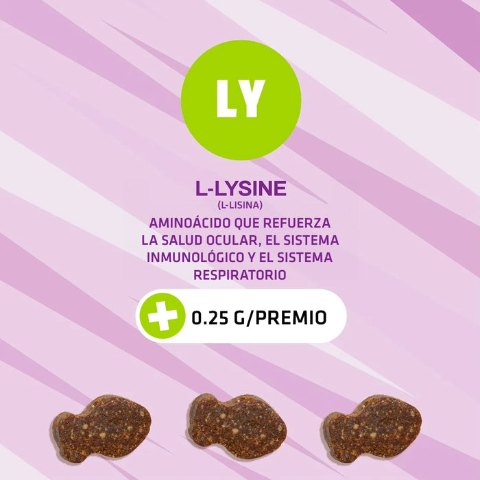 L-LYSINE CHEWS para Gatos