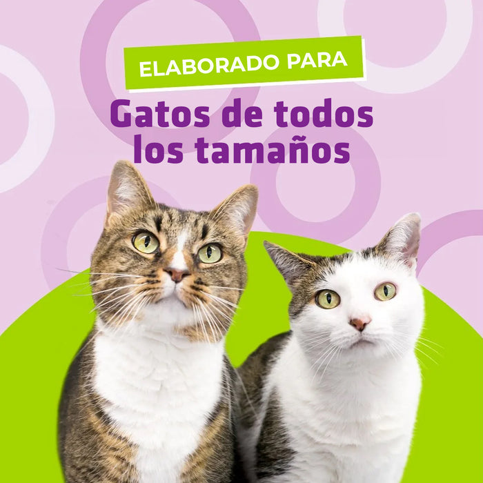 L-LYSINE CHEWS para Gatos