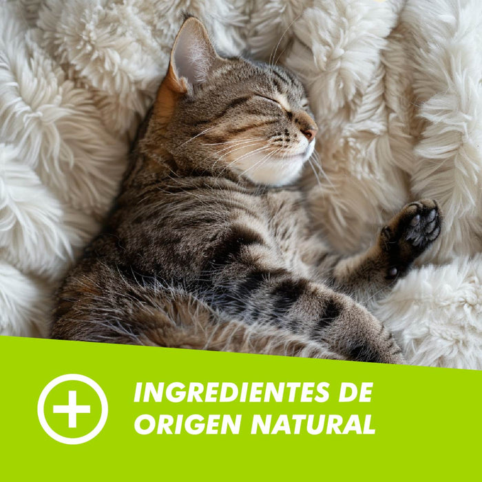Hairball Chew para Gatos