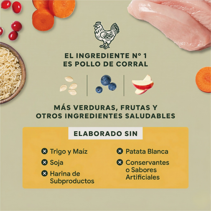 Instinct Raw Boost de Pollo con Granos y Arroz Integral para Cachorros