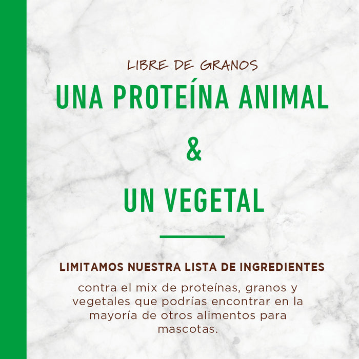 informacion instinct lid cordero