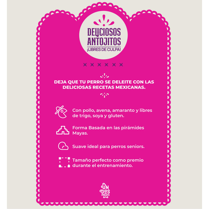 Guilt Free Antojitos Saludables - Tinga