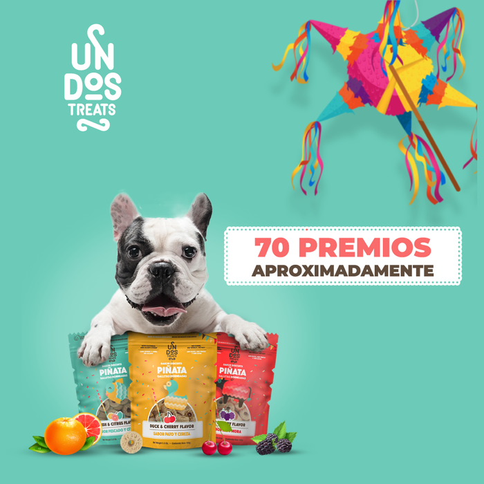 Gourmet pet treats 2025