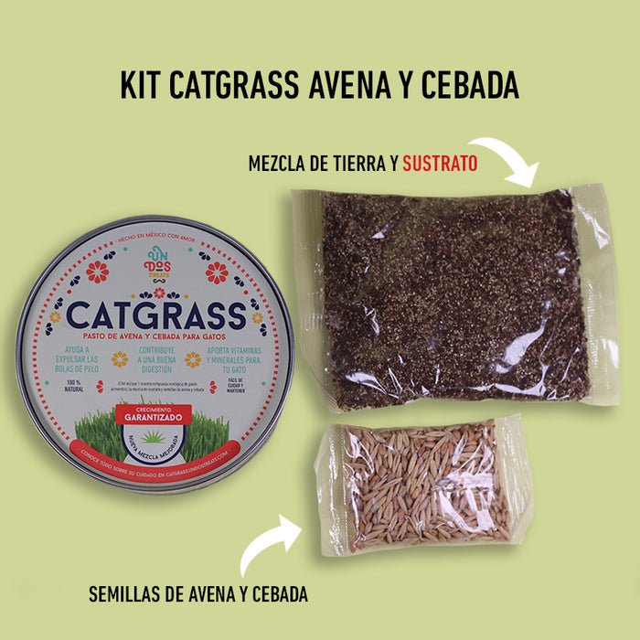 Cat Grass Mix Avena y Cebada, Pasto para Gato
