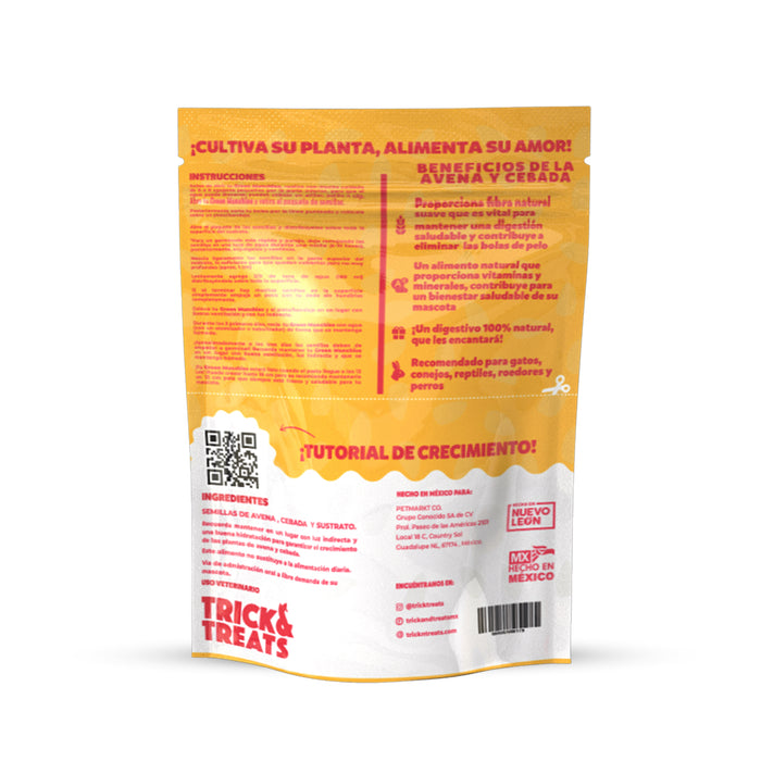 Green Munchies Avena y Cebada, Pasto Para Gato 50g
