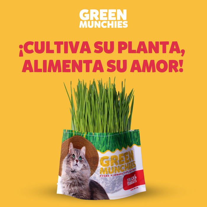 Green Munchies Avena y Cebada, Pasto Para Gato 50g