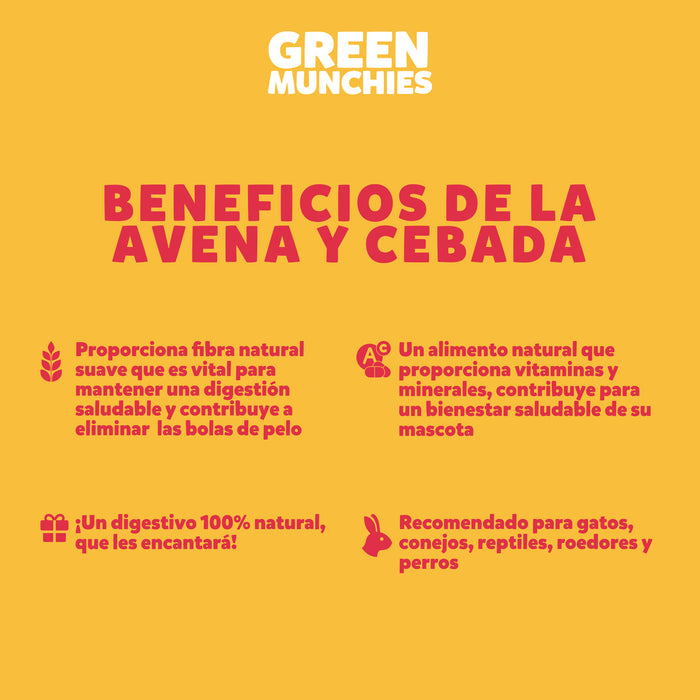 Green Munchies Avena y Cebada, Pasto Para Gato 50g