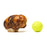 jumbo jaw breaker petstar