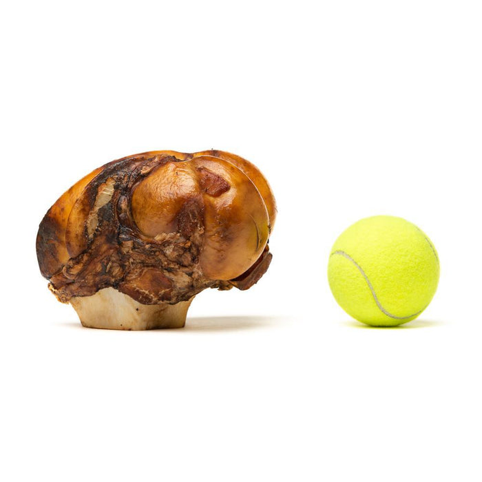 jumbo jaw breaker petstar
