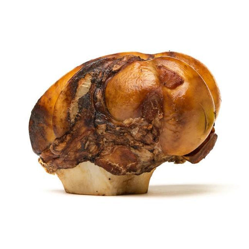 jumbo jaw breaker petstar