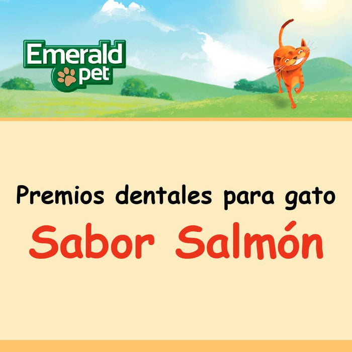 Dental Treats Salmón