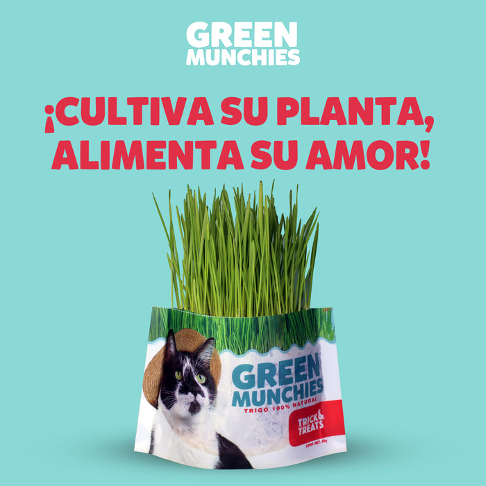 Green Munchies Trigo, Pasto Para Gato 50g
