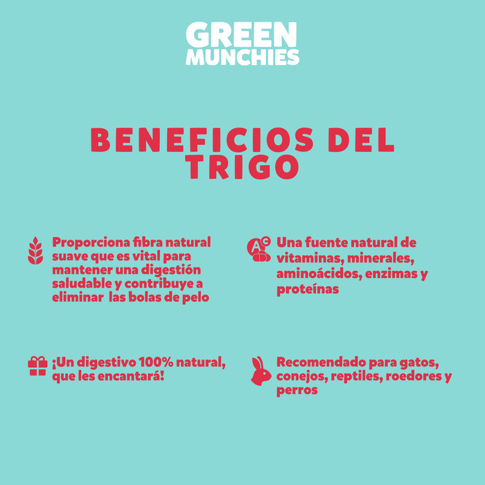 Green Munchies Trigo, Pasto Para Gato 50g
