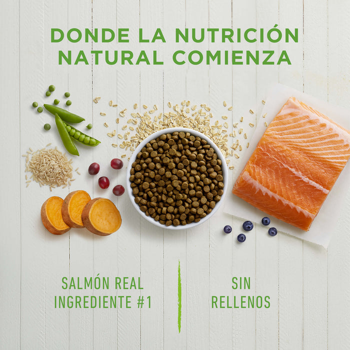 Instinct Be Natural Salmón para Perros