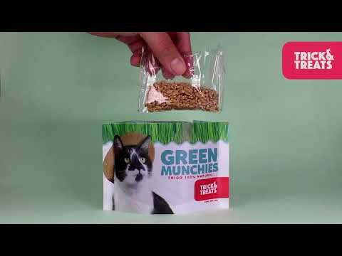 Green Munchies Avena y Cebada, Pasto Para Gato 50g