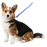 Collar de Microfibra - Mediano Dogline