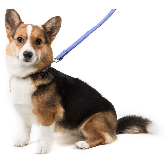 Collar de Microfibra - Mediano Dogline