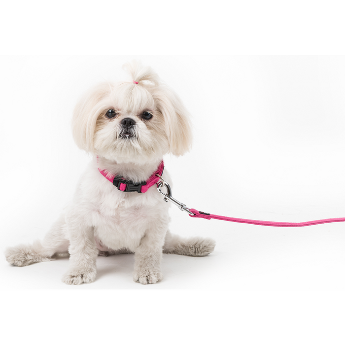 Collar de Microfibra - Mediano Dogline