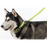 Collar de Microfibra - Mediano Dogline