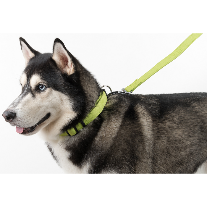 Collar de Microfibra - Mediano Dogline
