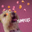 Yumpers de Trick & Treats: Res