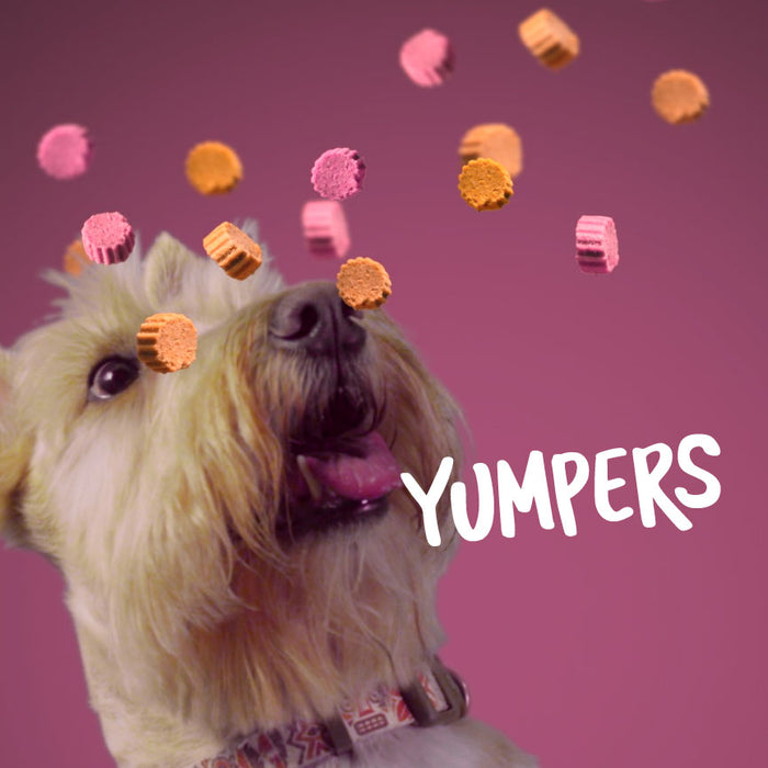 Yumpers de Trick & Treats: Res
